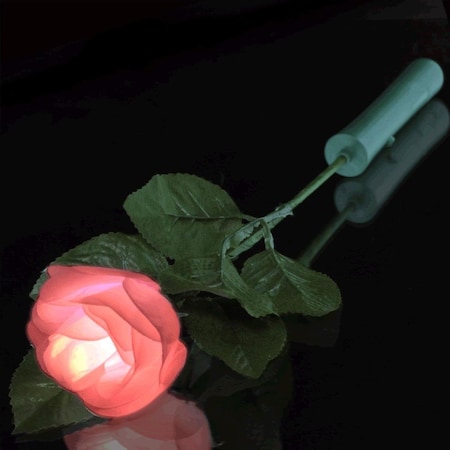 Endless Games White Flower with Color Changing Petals, Multi Color EN2798258